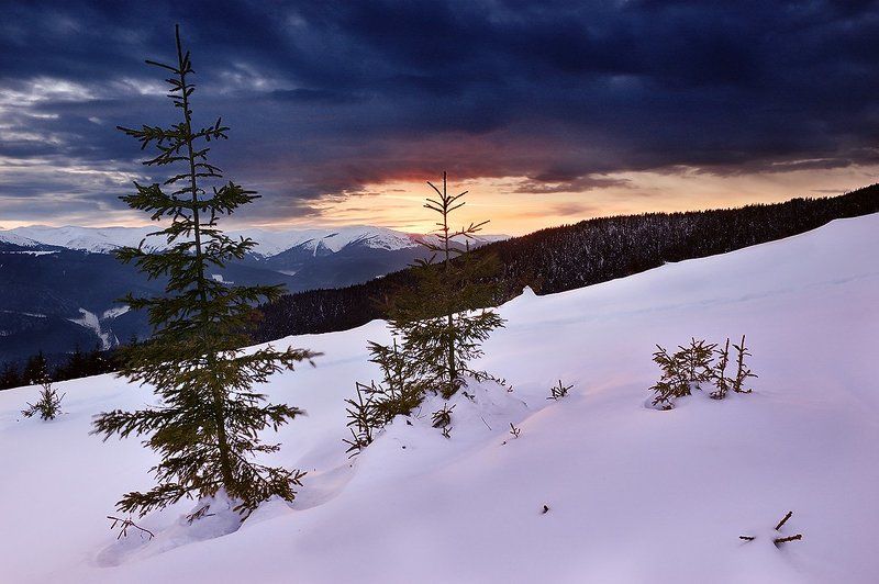 Nightfallphoto preview