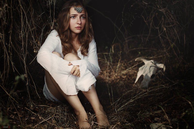 Lost in the woodsphoto preview