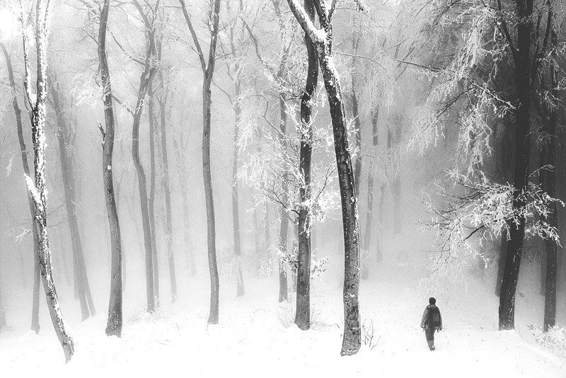 Admiring the silencephoto preview