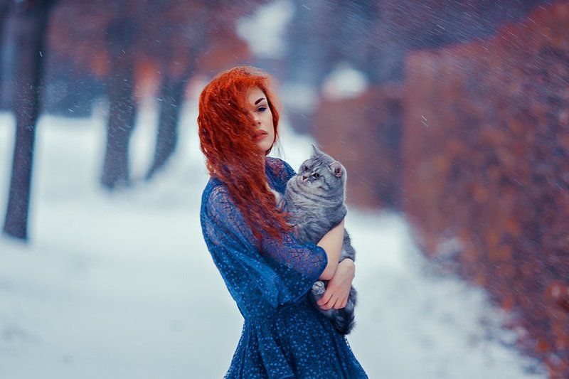 Метель.....photo preview