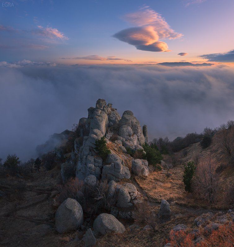 «грибы» !photo preview