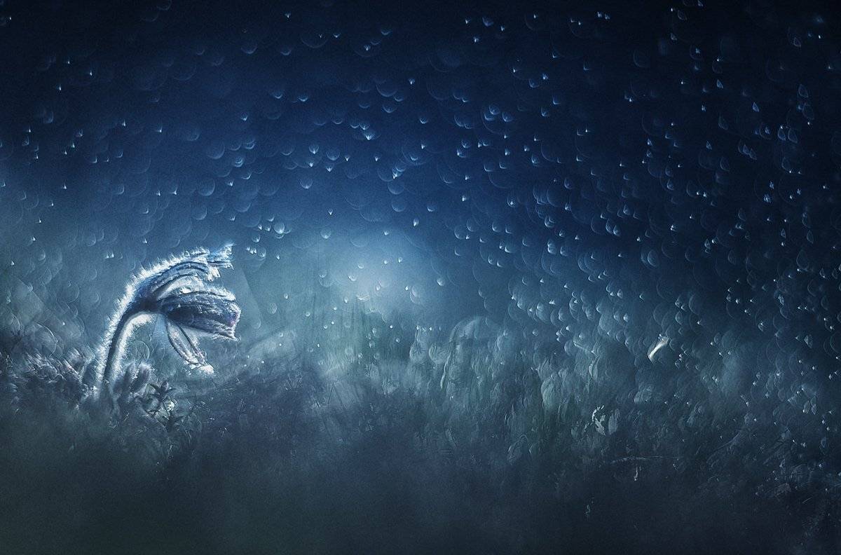 , Татьяна Аверина