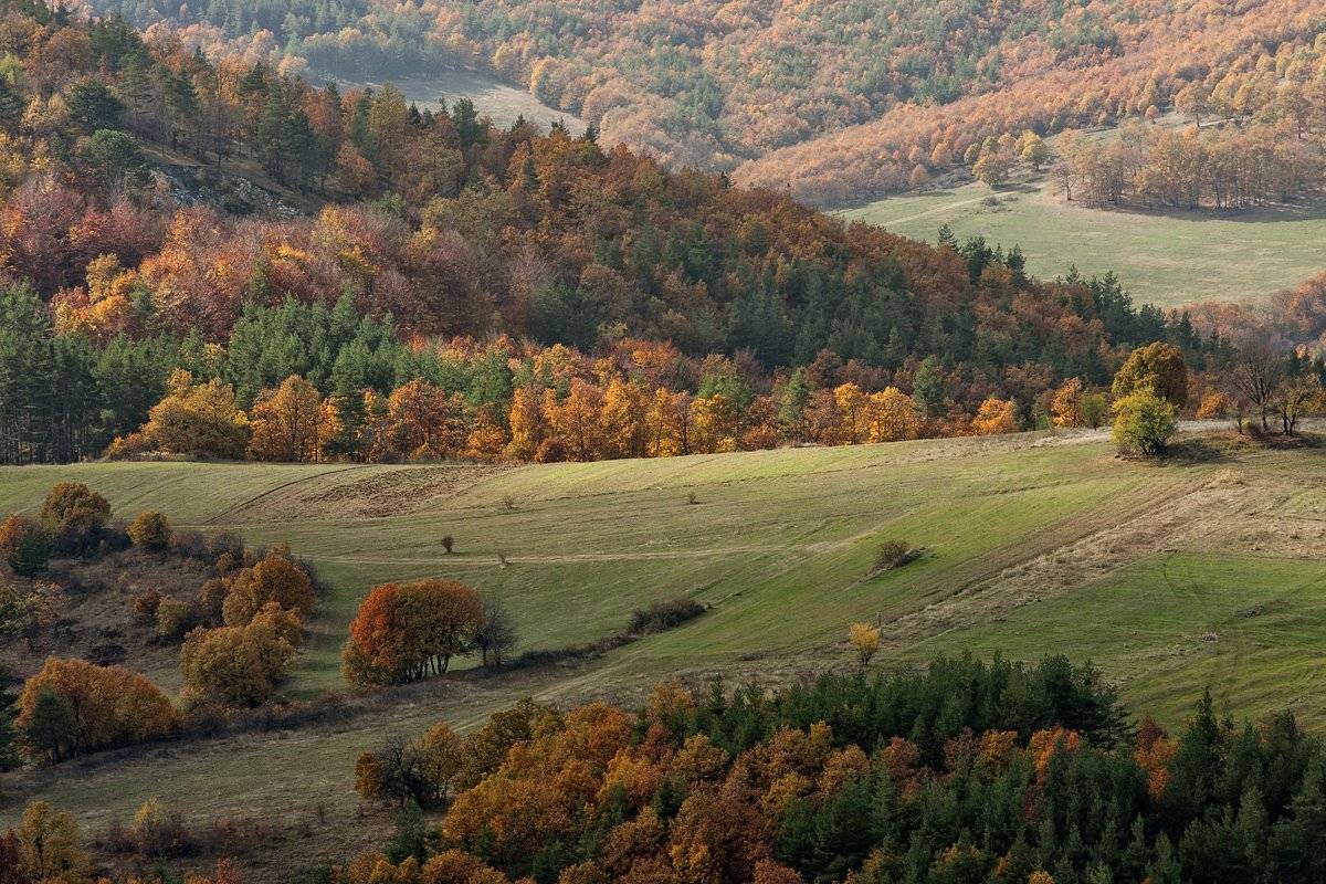 Ноябрь. Автор: Александър Сандев , Александър Сандев