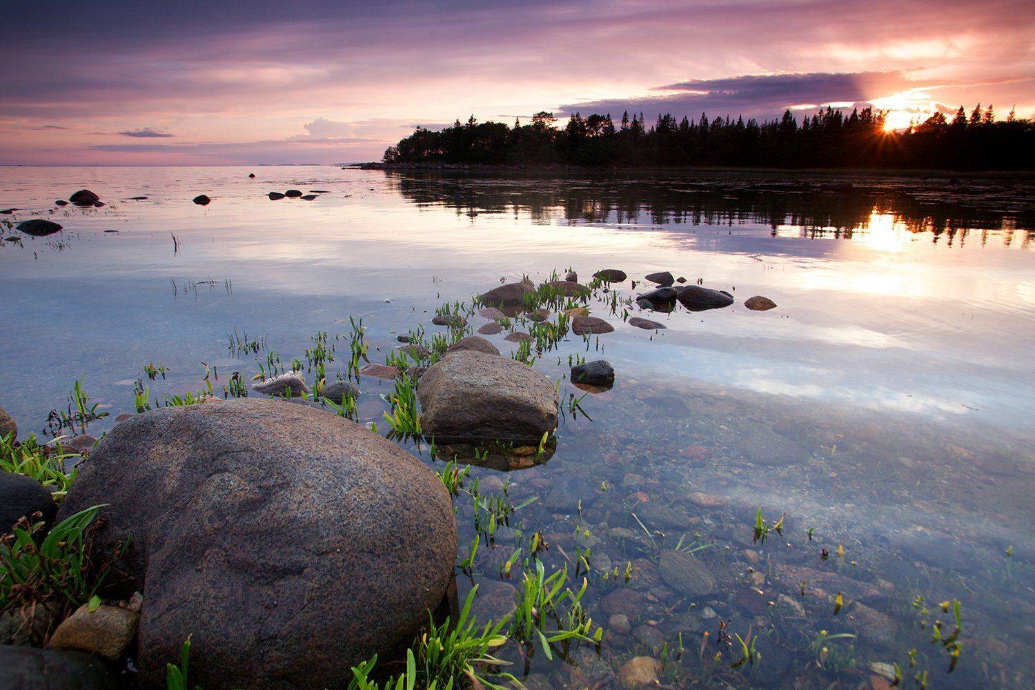Закат над Белым морем. Автор: Никифоров Егор Белое море, Закат, Море, Соловецкий архипелаг, Никифоров Егор