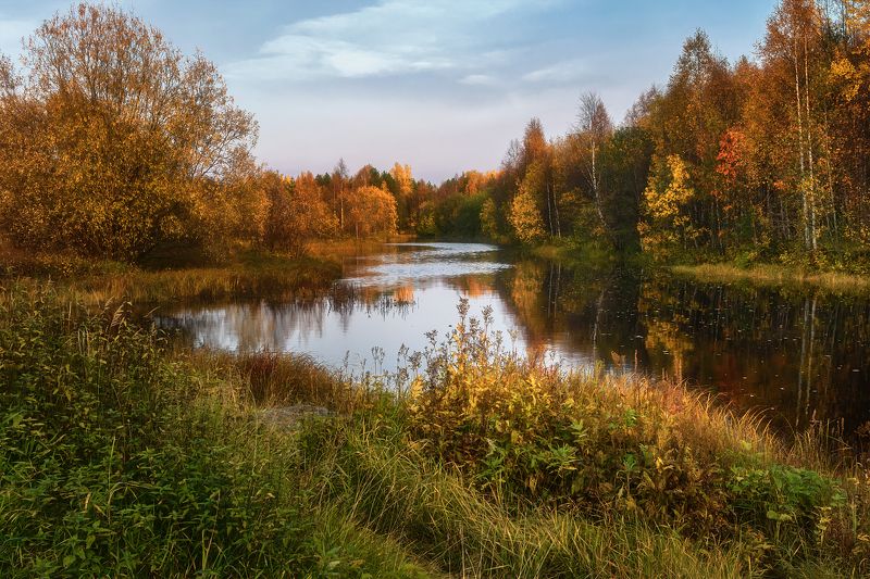 Бродит осень берегом рекиphoto preview