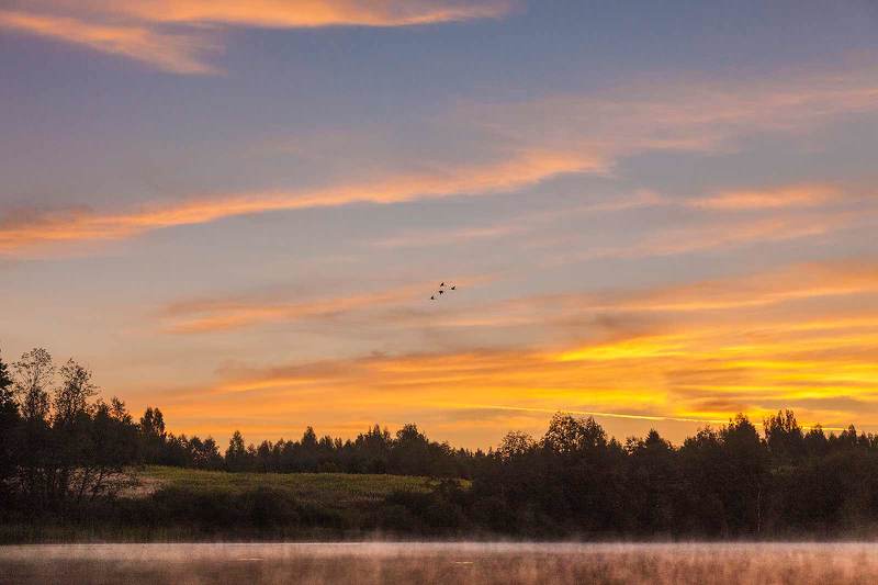 Пролёт журавлейphoto preview