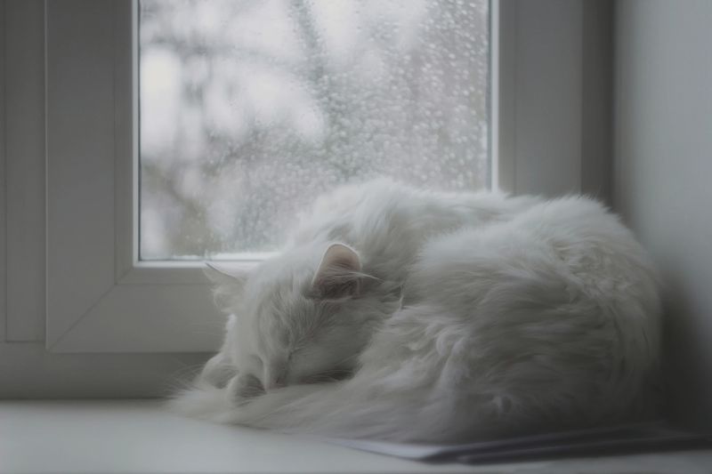 гелиос44м4 Вот и осень..photo preview