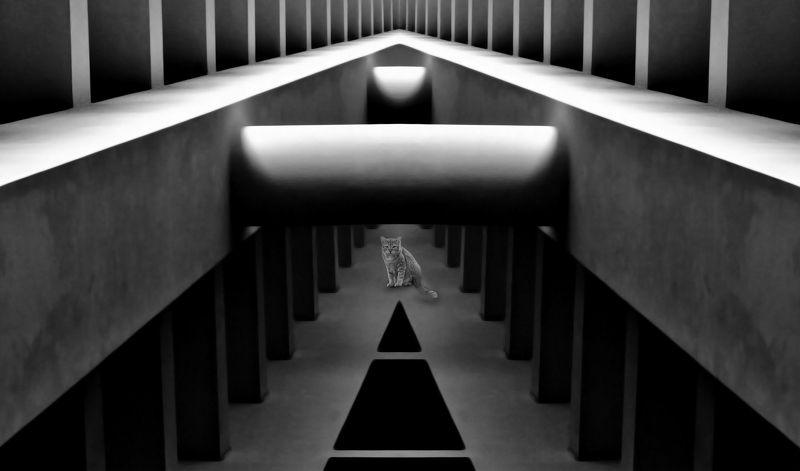 Meet somebody\'s gazephoto preview