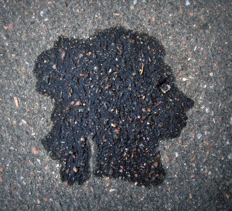 pareidolia ***photo preview