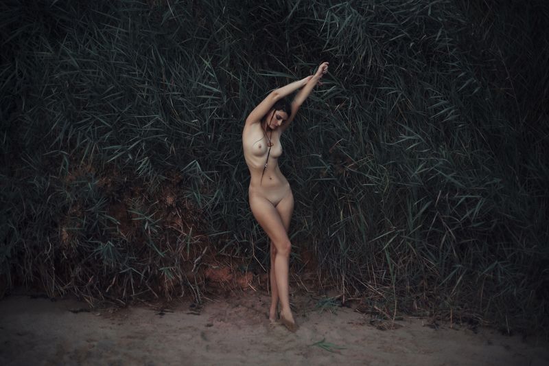 женский портрет, ню, жанровый портрет Wildphoto preview