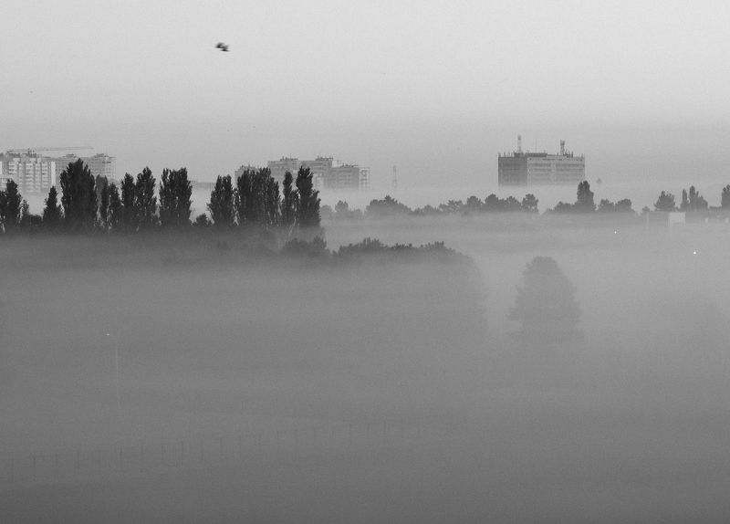 город, туман, чб Город плывётphoto preview