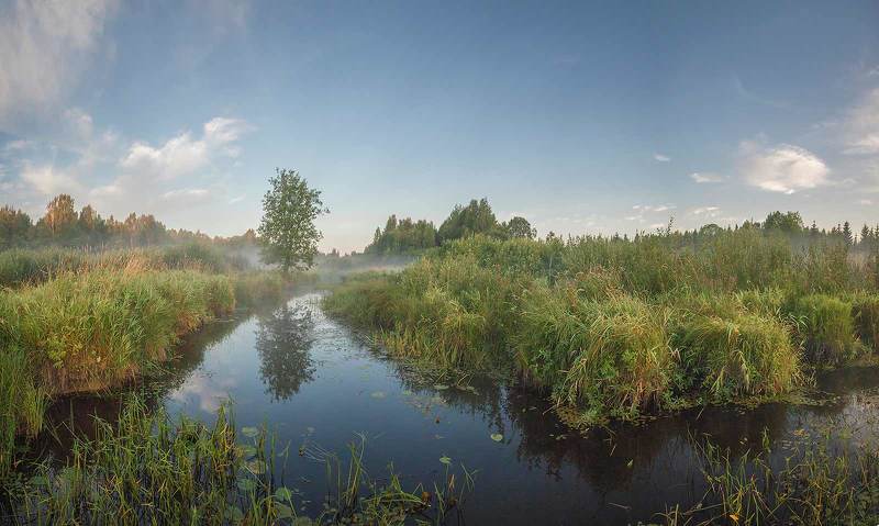 Панорама утренней рекиphoto preview