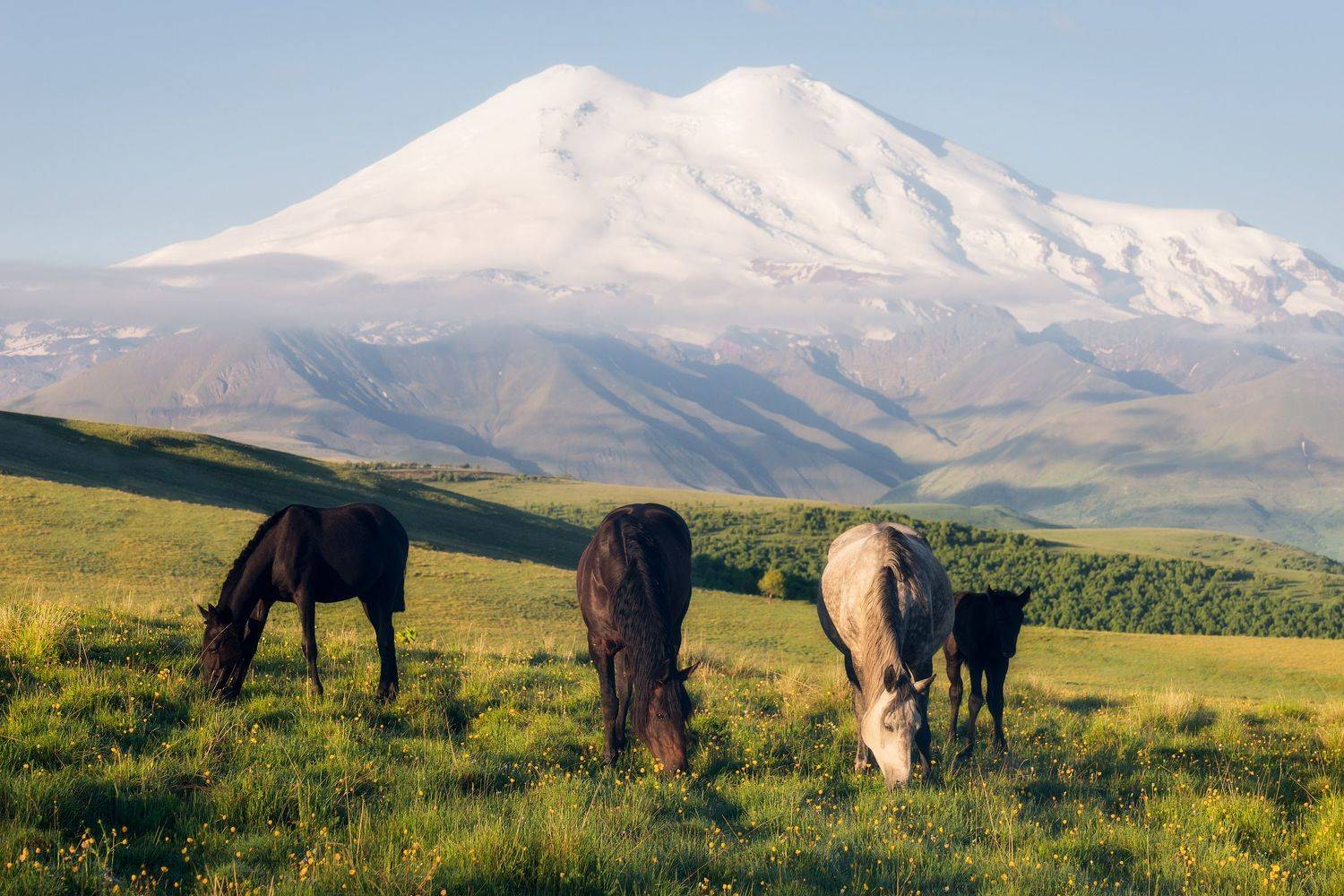 , Михаил Туркеев