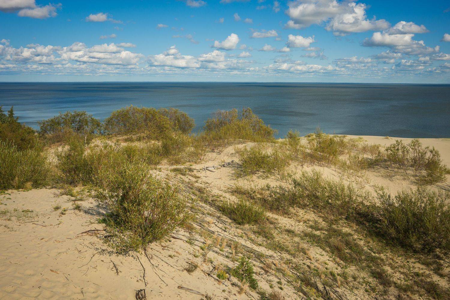 , Максимова Дария