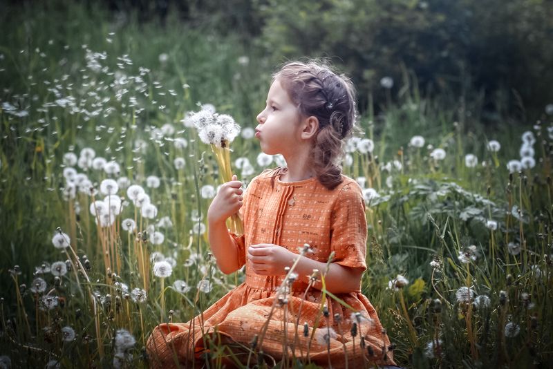 дети, лето, одуванчик, игры полет одуванчиковphoto preview