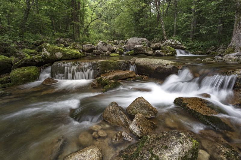 река, тайга, камни photo preview