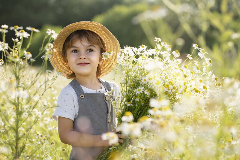 дети,лето,ромашки на ромашковом полеphoto preview