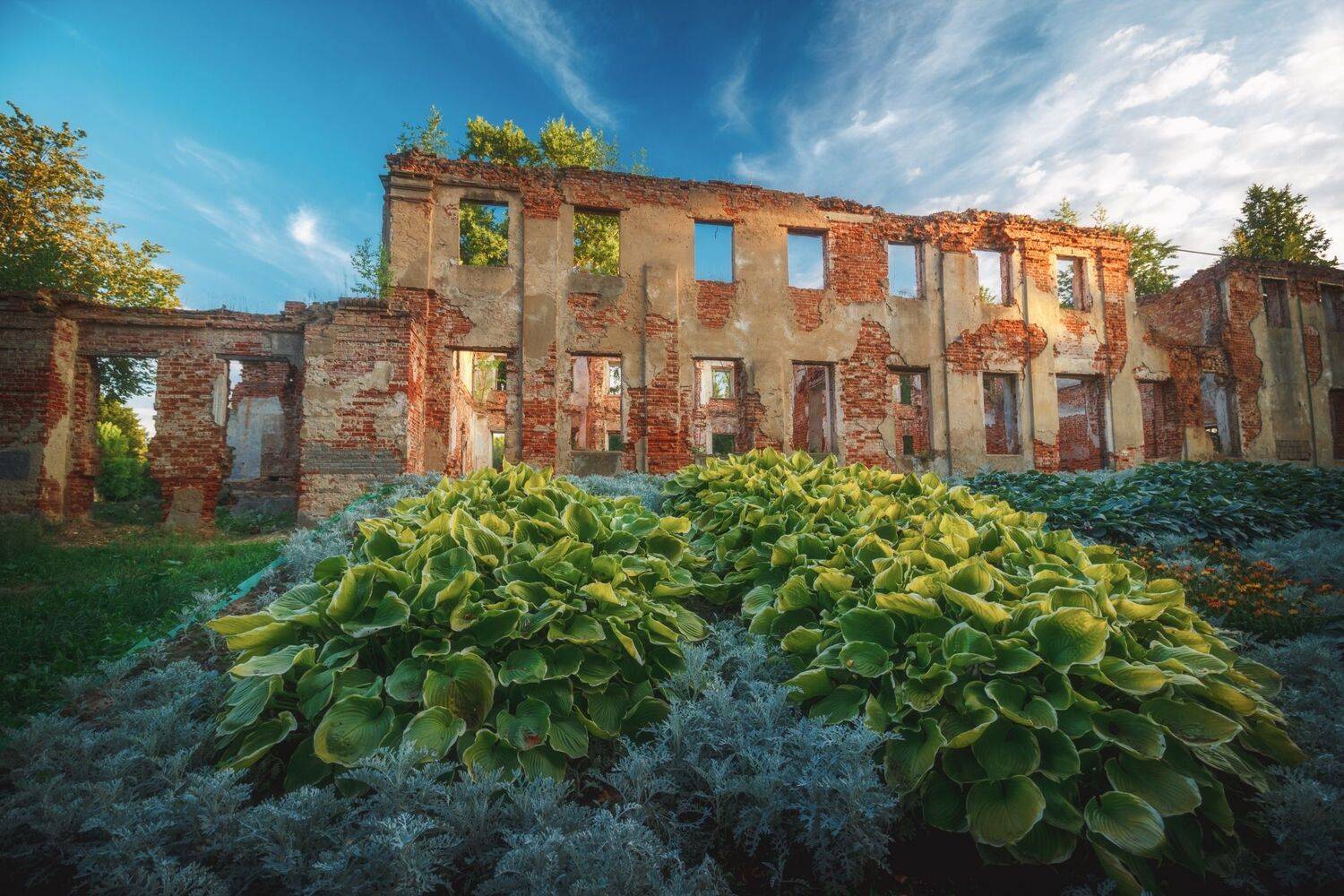 , Котов Андрей