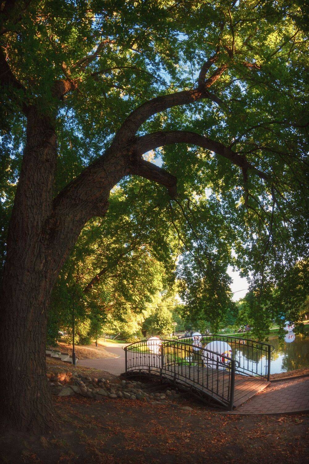 Мостик под старым клёном. Автор: Котов Андрей , Котов Андрей