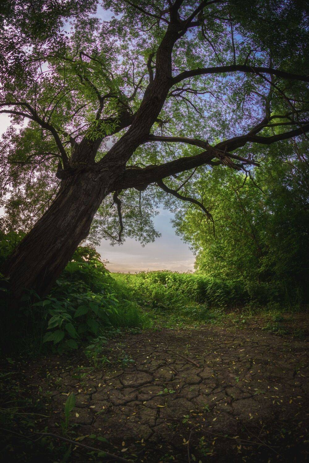 , Котов Андрей