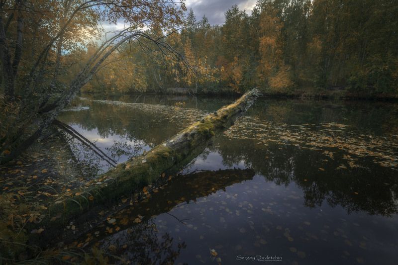 Осеньphoto preview