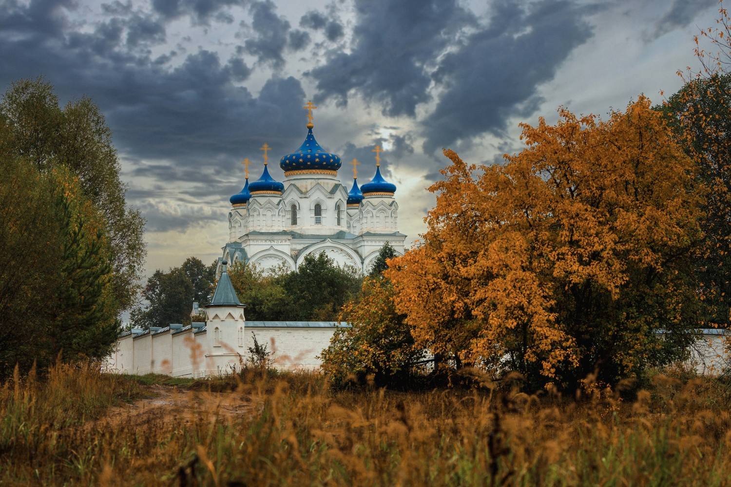 , Владимир Васильев
