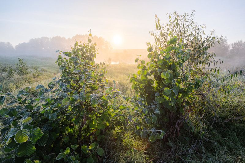 лучи по сентябрьскому морозуphoto preview