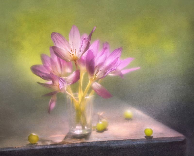 Тепло осениphoto preview