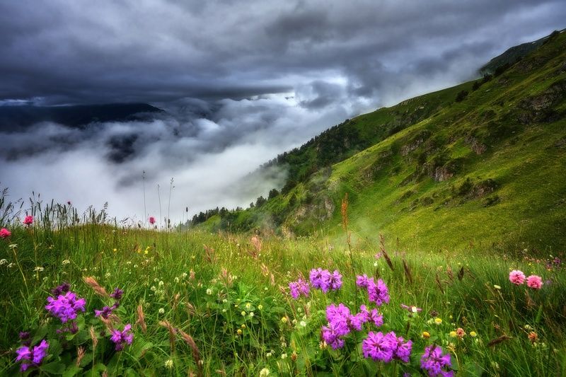 разное фото превью