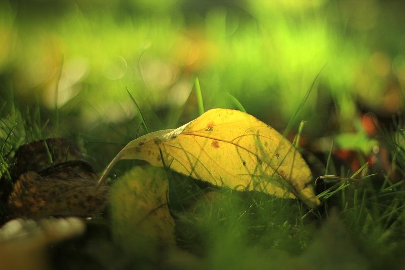 Последнее письмоphoto preview