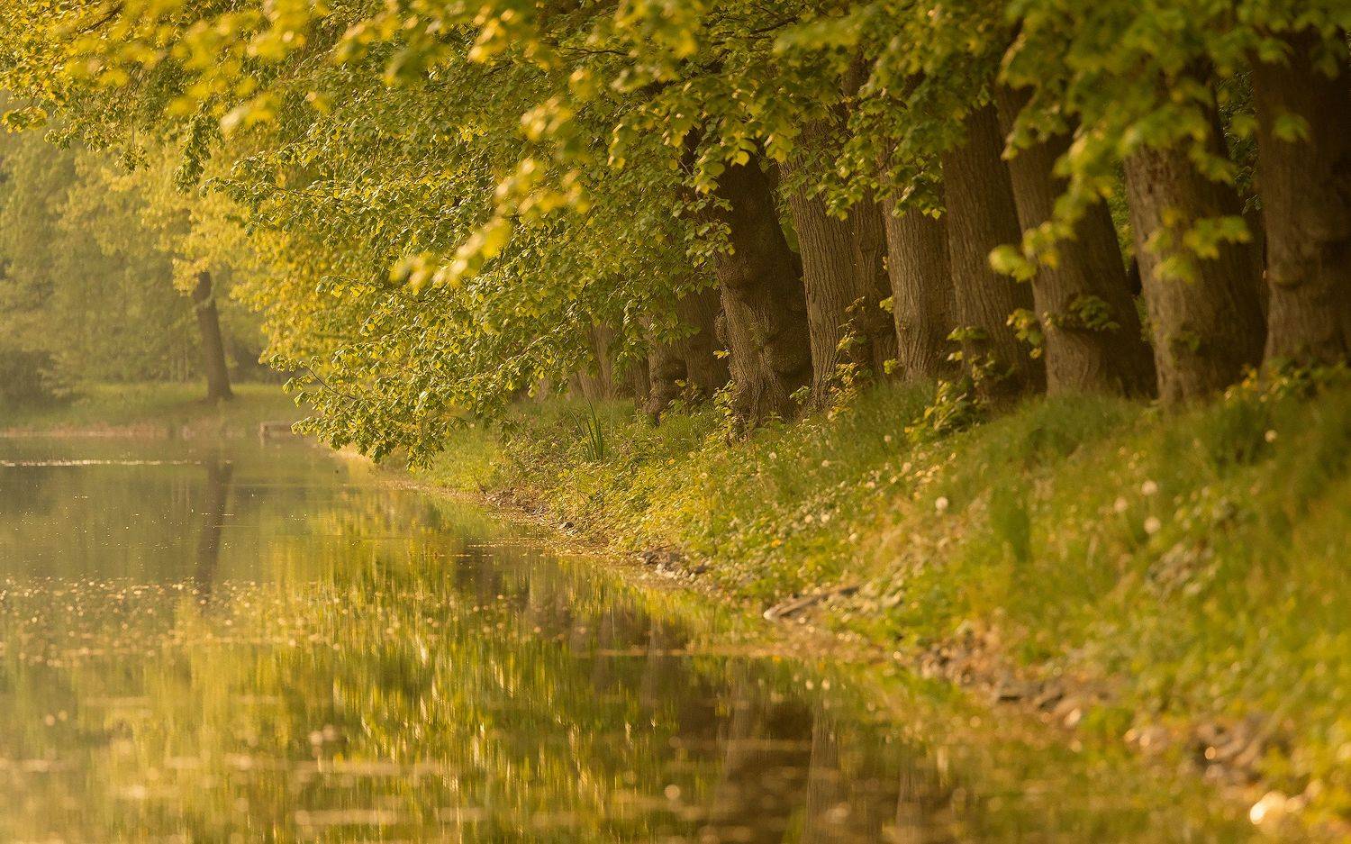 Утро. Автор: Robert Adamec , Robert Adamec