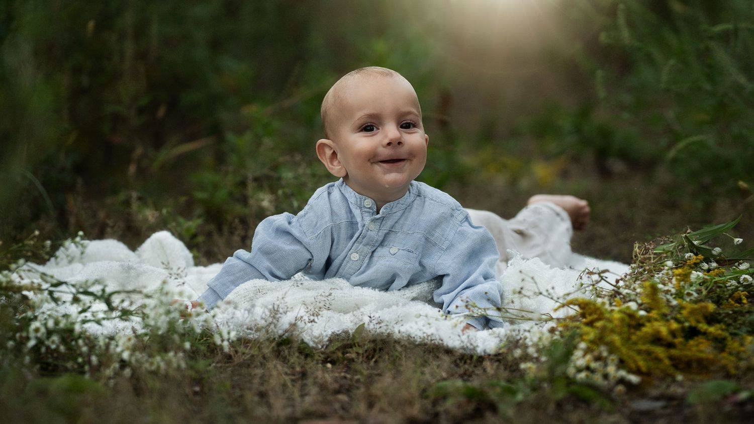 Antoni. Автор: Monika Porabik , Monika Porabik