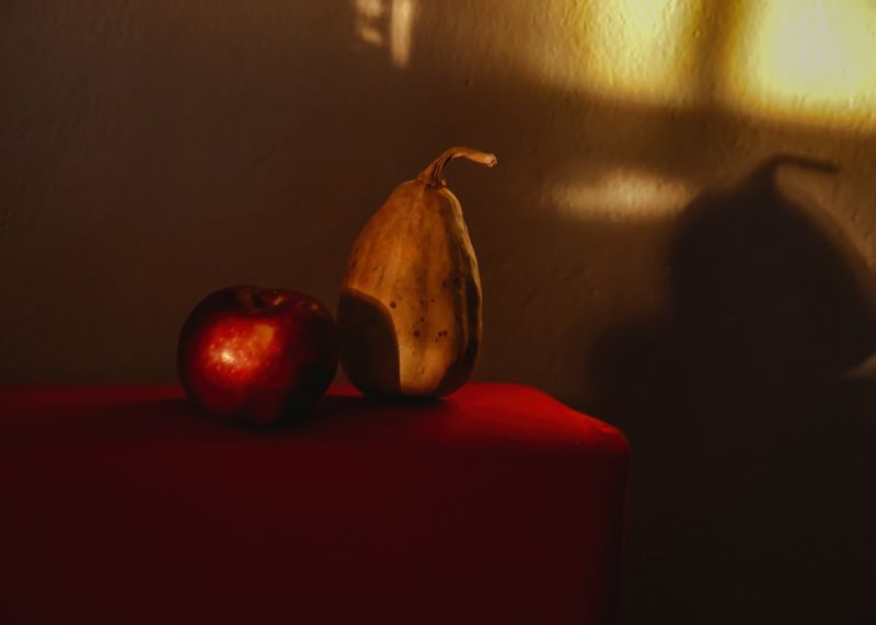 apple,red,stillife,photography Red Applephoto preview