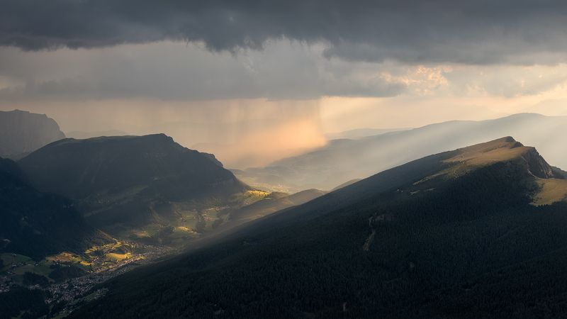 Ortiseiphoto preview