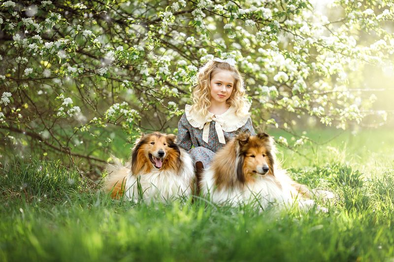 детский портрет, семейная фотография photo preview