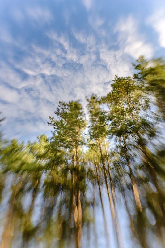 сентября 2022 Сентябрьphoto preview