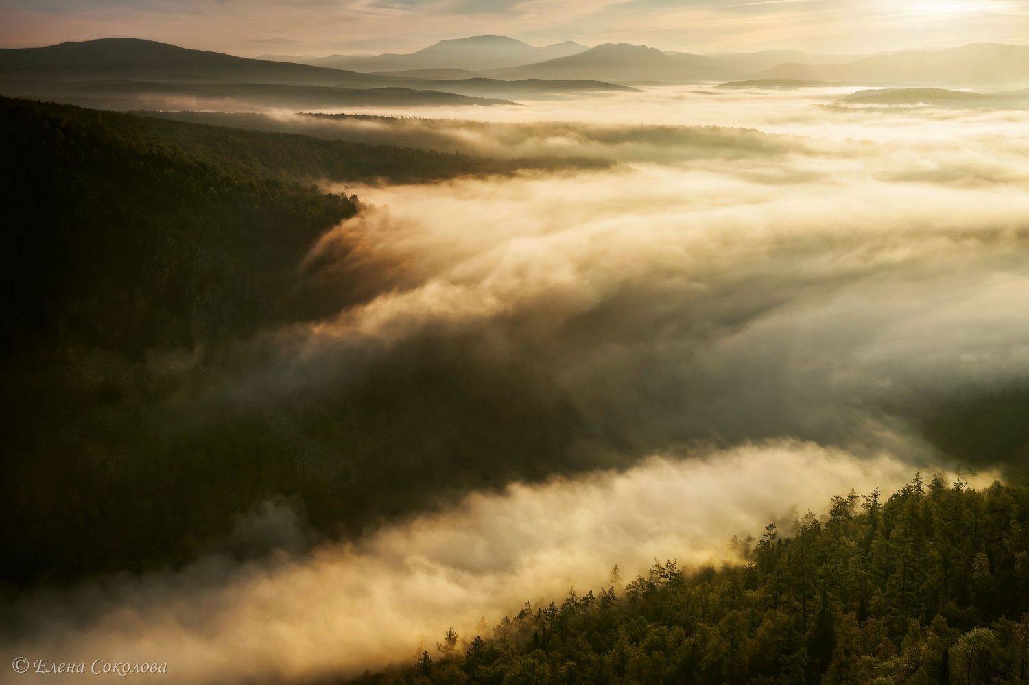 Туманный рассвет. Автор: Соколова Елена айгир, туман, дымка, утро, рассвет, летний пейзаж, осень, Соколова Елена