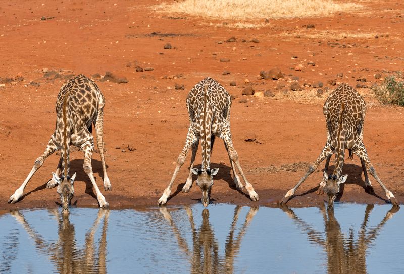 Утро понедельникаphoto preview