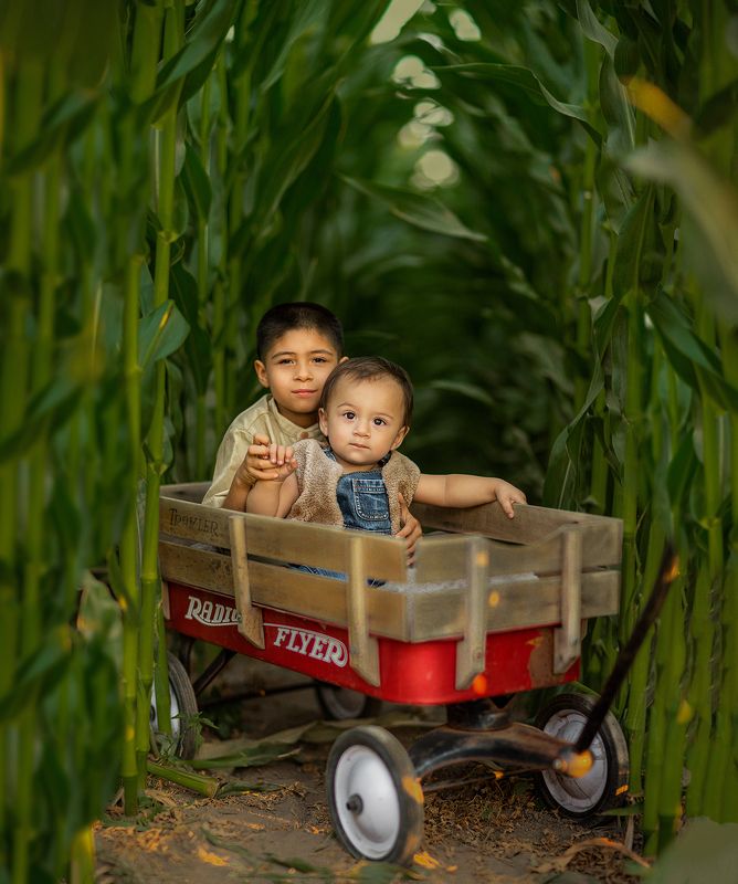 My Little Brother and Iphoto preview