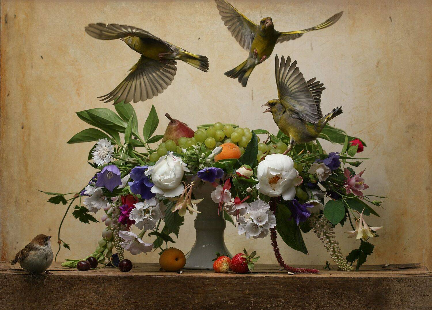 Натюрморт с белым васильком. Автор: Хромушин Олег carduelis chloris, Хромушин Олег