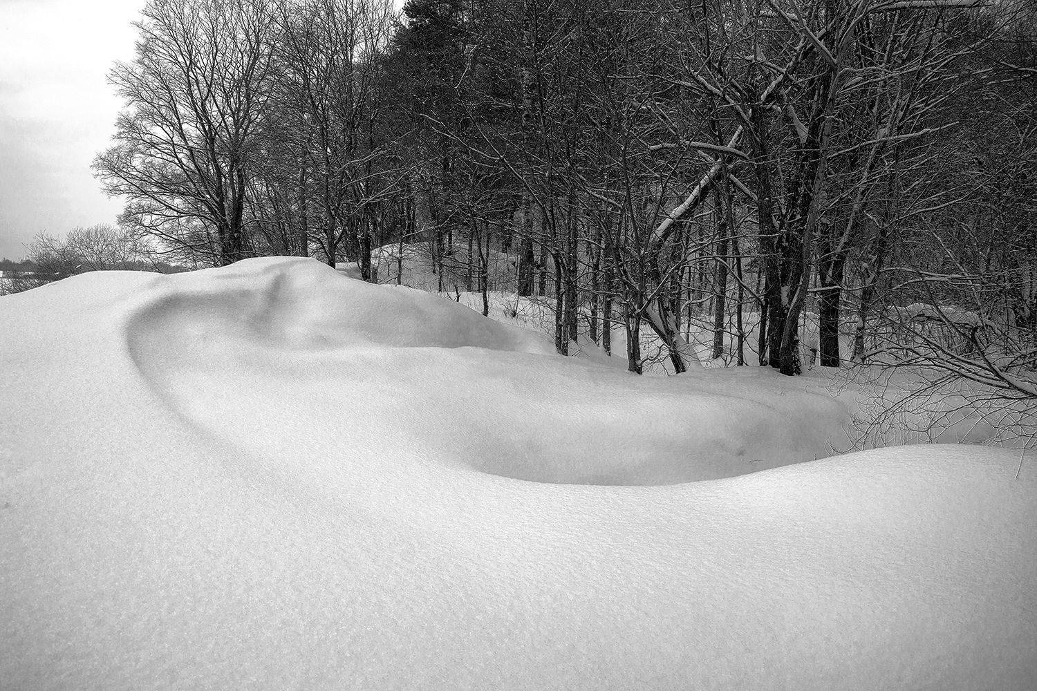 , Волоцков Александр