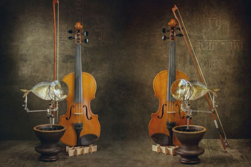 Концертphoto preview