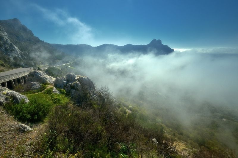 Выше облаковphoto preview