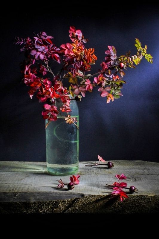 осень, краски шиповник, натюрморт, Краски осени.photo preview