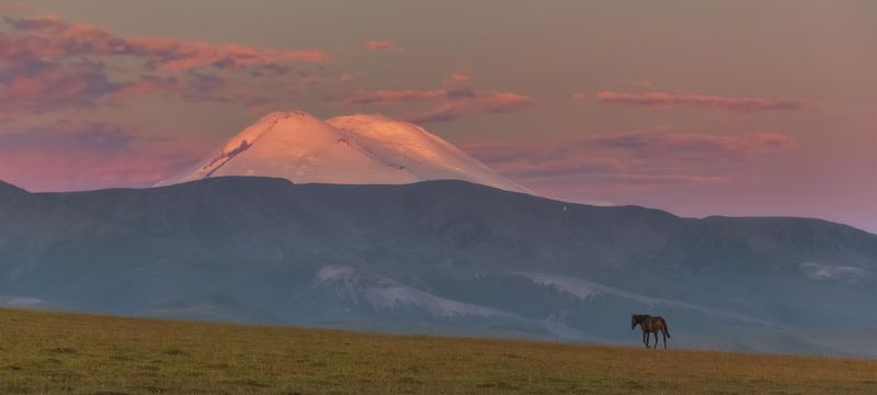 Утренняя прогулкаphoto preview