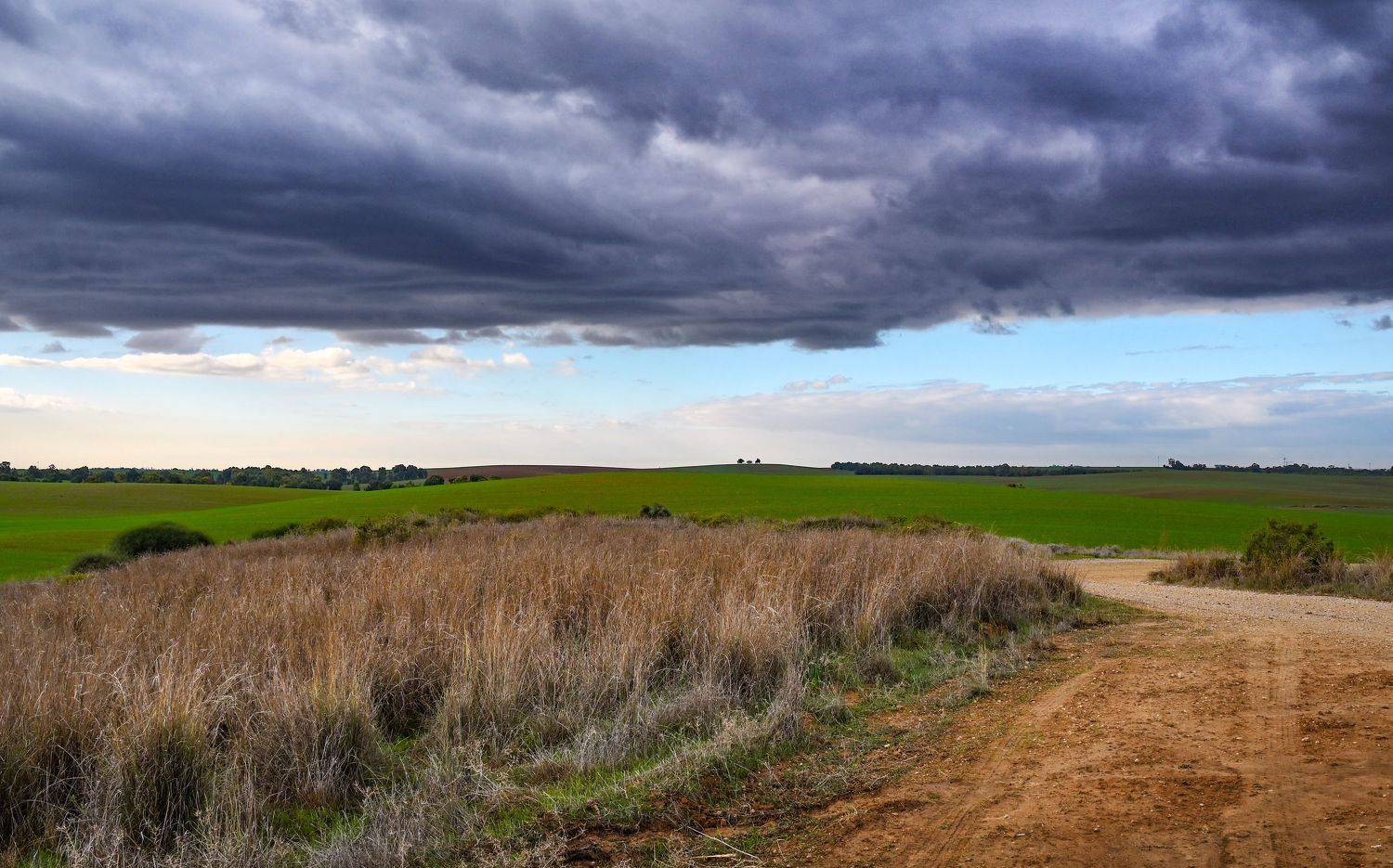 Автор: Анатолий , Анатолий