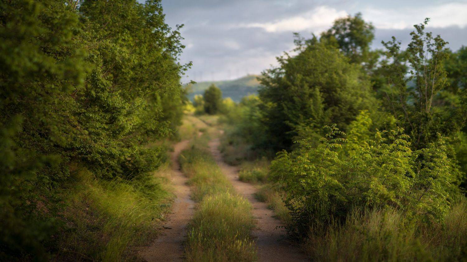 ***. Автор: Сергей Черкасов бокерама, метод бренайзера, крым,, Сергей Черкасов