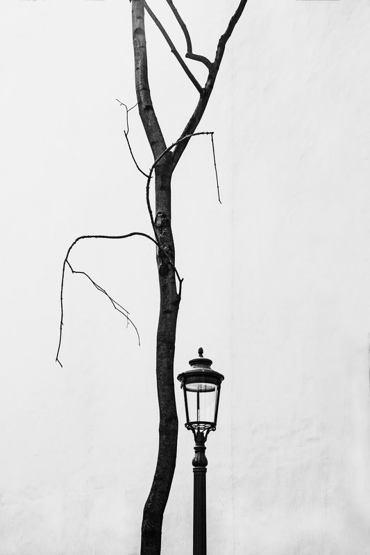 Together . фото превью