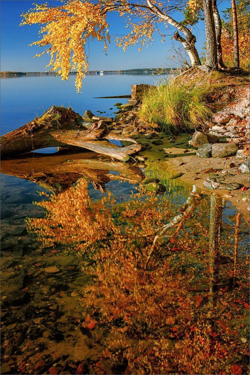 Вечер осенний.... Автор: Никитинский Александр пейзаж, осень, вечер, озеро, отражение, свет, цвет, александр никитинский, Никитинский Александр