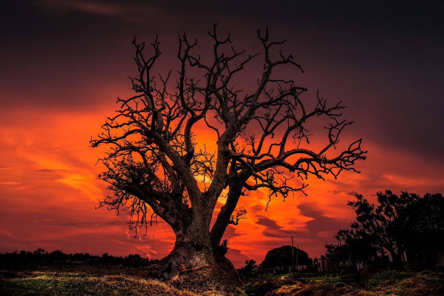 , Назаров Александр